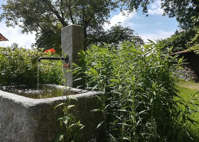 Tiny X Im Marxhof Seebruck Am Chiemsee Зеон-Зебрукк
